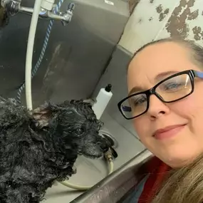 Bild von Pet Palace