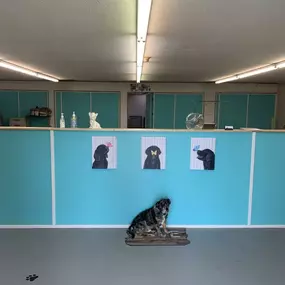 Bild von Pet Palace