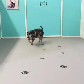 Bild von Pet Palace