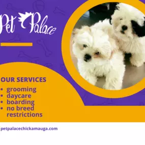 Bild von Pet Palace