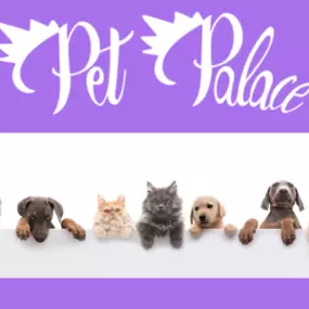 Bild von Pet Palace