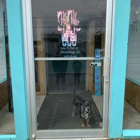 Bild von Pet Palace
