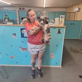 Bild von Pet Palace