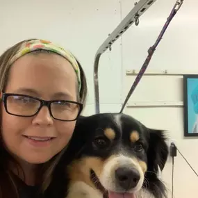 Bild von Pet Palace