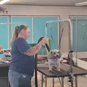Bild von Pet Palace