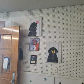 Bild von Pet Palace