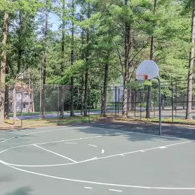Basketball court