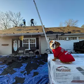 Bild von Roof Defender LLC