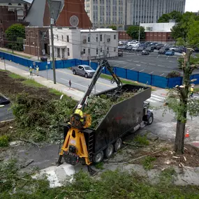 Bild von Big Woody's Tree Service