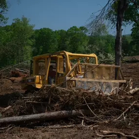 Bild von Big Woody's Tree Service