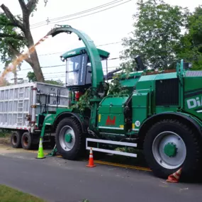 Bild von Big Woody's Tree Service