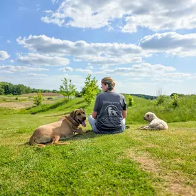 Bild von KOCK'S DOGS - Hundetraining