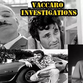 Bild von Vaccaro Investigations