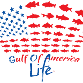 Bild von Gulf Of America Life