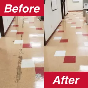 Bild von Envision Floor Care Solutions