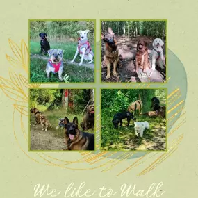 Bild von We like to Walk