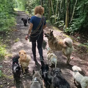 Bild von We like to Walk