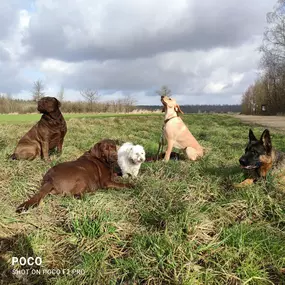 Bild von We like to Walk