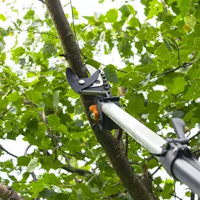 Bild von Boot Road Tree Service