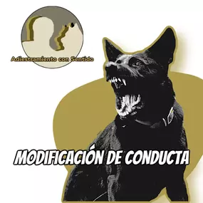 231694530-1-93mnUcZT6b1752480276342.jpeg