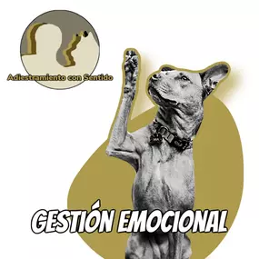 231694530-1-93mnUcZT6b1752480296991.jpeg