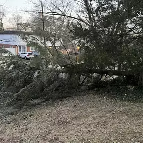 Bild von Ellis Tree & Outdoor Services LLC