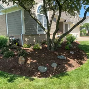 Bild von Ellis Tree & Outdoor Services LLC