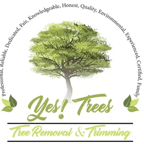 Bild von Yes! Trees