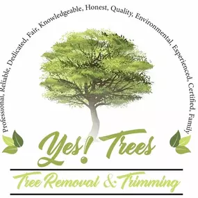 Bild von Yes! Trees