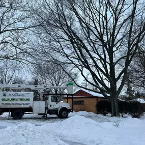 Bild von Gillis Lawn and Tree Care, LLC