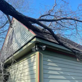 Bild von Gillis Lawn and Tree Care, LLC