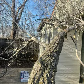 Bild von Gillis Lawn and Tree Care, LLC
