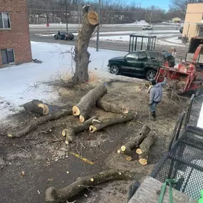 Bild von Gillis Lawn and Tree Care, LLC
