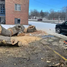 Bild von Gillis Lawn and Tree Care, LLC