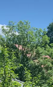 Bild von Ferienwohnung Kleine Oase