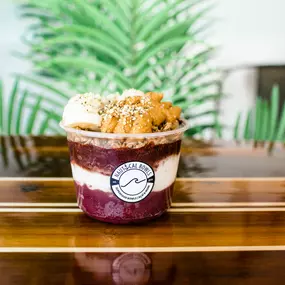 Bild von Nautical Bowls