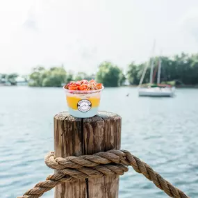 Bild von Nautical Bowls