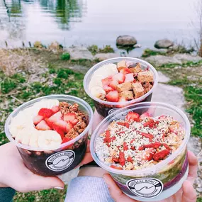 Bild von Nautical Bowls