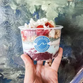 Bild von Nautical Bowls