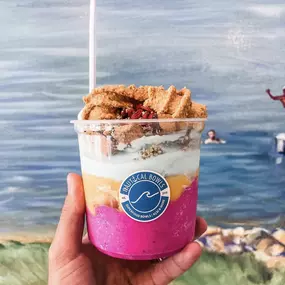 Bild von Nautical Bowls