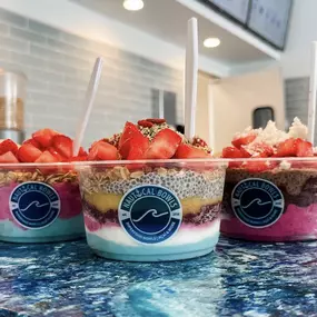 Bild von Nautical Bowls