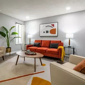 Modern Living Area