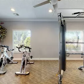 Peloton Bikes