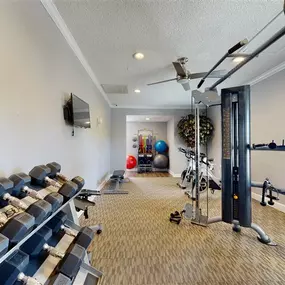 Free Weights
