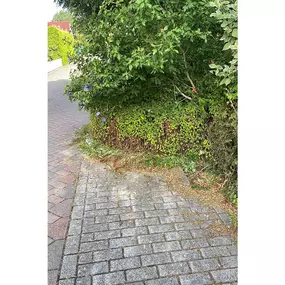 Bild von Matthies Facility Services - Grünpflege & Hausmeisterdienste