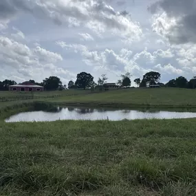 Rafter X Ranch Canon has two ponds and a river that runs along back of the property.