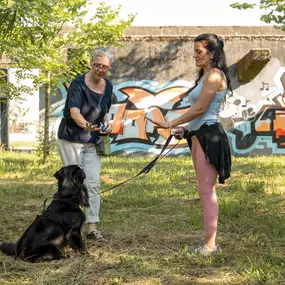 Bild von Lina, Hundert Prozent wau, Gesundheit, Training und Unterstützung für Hunde und ihre Menschen, Sandra Egli