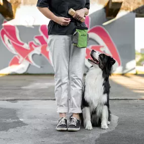 Bild von Lina, Hundert Prozent wau, Gesundheit, Training und Unterstützung für Hunde und ihre Menschen, Sandra Egli