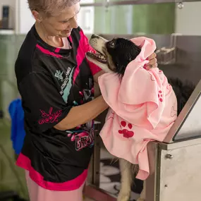 Bild von Lina, Hundert Prozent wau, Gesundheit, Training und Unterstützung für Hunde und ihre Menschen, Sandra Egli