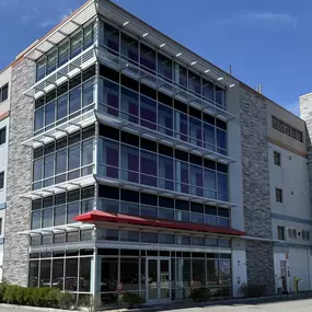 Alternate Beauty Image